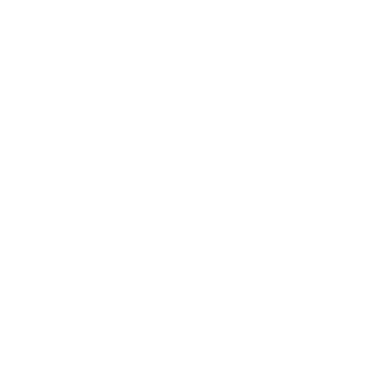 Two Disabled Dudes